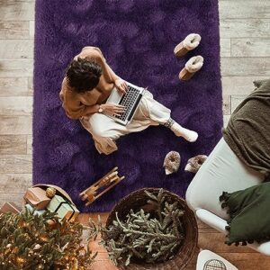 Softlife Ultra Soft Fluffy Area Rugs for Bedroom, Girls and Boys Room Kids Room Nursery Rug, 3 x 5 Feet Shaggy Fur Indoor Plush Modern Floor Carpet for Living Room, Dark Purple