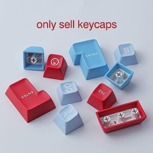Tsungup keycaps - DoubleShot Keycaps, 173 Keys ABS Keycaps SA Profile Dye Sublimation Falan Custom Keycaps Full Set for Cherry MX Switches Mechanical Keyboards with 2.25u,2.75u,3u, 6.25u,7u Spacebar
