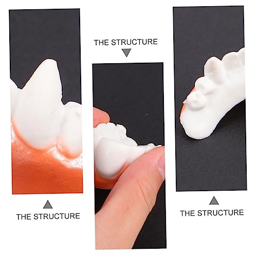 Cosplay Props 10pcs Halloween Dentures Costumes for Cosplay Costumes Teeth Fake Gagtechnoblade Cosplay Dress up Dentures Cover Artificial Teeth Decorate Prom PVC White