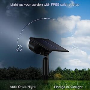 JACKYLED Solar Spot Lights, Owl Face, 3 Modes Bright LED Solar Lights for Outside, 2 Pack Landscape Lighting IP65 Waterproof for Garden, Yard, Driveway, Pathway, Walkway, Cool White Light