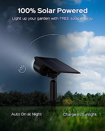 JACKYLED Solar Spot Lights, Owl Face, 3 Modes Bright LED Solar Lights for Outside, 2 Pack Landscape Lighting IP65 Waterproof for Garden, Yard, Driveway, Pathway, Walkway, Cool White Light