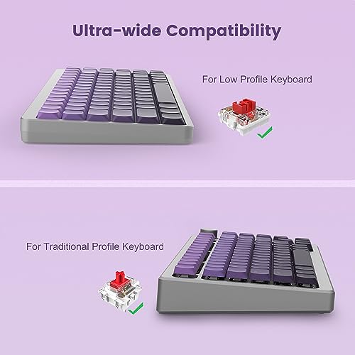 XVX Low Profile Keycaps - Purple Keycaps, Shine Through PBT Keycaps for 60% 65% 75% 100% Cherry Gateron MX Switches (Low Profile and Tradition Profile) Mechanical Keyboard