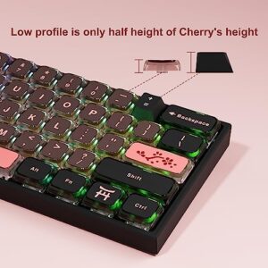 dagaladoo XVX 125 Keys Low Profile Sakura Pudding keycaps，Dye Sublimation PBT Keycap,Transparent keycaps,Suitable for most60% 65% 70% 100% Cherry Gateron MX Switches Mechanical Keyboard