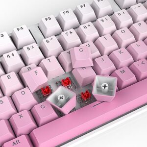 Ussixchare Gradient Keycaps, PBT Double Shot 104 Keys Keycaps, OEM Profile Custom Keycaps Set for 61/87/104 Cherry Gateron MX Switches Mechanical Keyboard(Lover Pink)