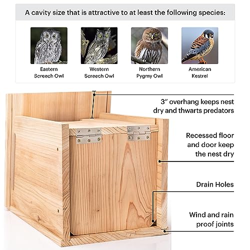 WHITEHORSE Large Cedar Owl House - Premium and Weatherproof Design - 16" x 12" x 11" - A Nesting Box for Screech Owls, Northern Pygmy, Kestrel and Other Species