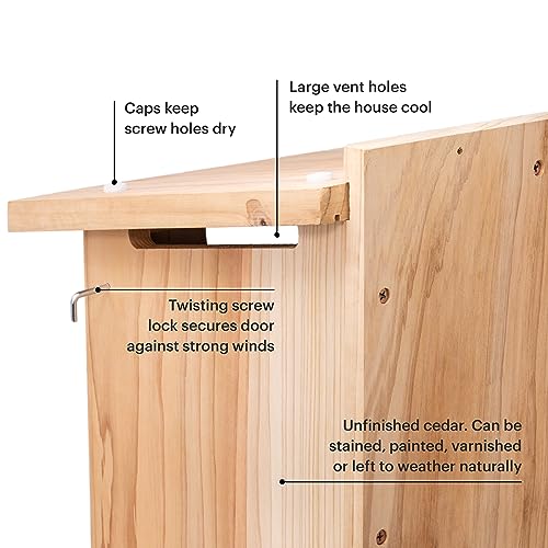 WHITEHORSE Large Cedar Owl House - Premium and Weatherproof Design - 16" x 12" x 11" - A Nesting Box for Screech Owls, Northern Pygmy, Kestrel and Other Species