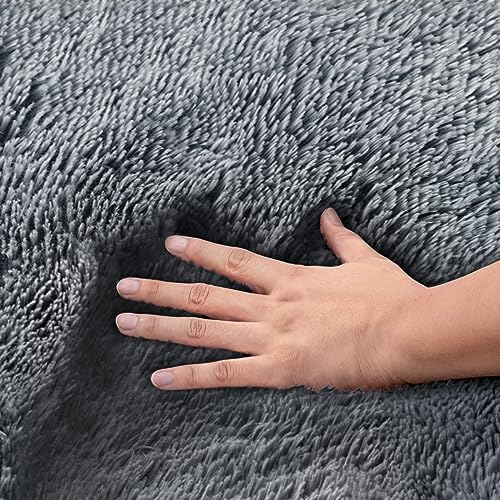 ROCYJULIN Area Rug for Living Room, Area Rugs 8x10 Fluffy Rugs for Bedroom, Non Slip Carpet for Dorm Room, Shag Rug for Playroom, Fuzzy Rug for Kids Room, Large Dark Grey Gray Rug
