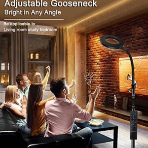 vividstarry Modern LED Floor Lamp with Remote & Touch Control, 2700K-6500K Bright Dimmable Floor Reading Lamp for Living Room/Bedroom/Office, Gooseneck Task Lights 10-100% Brightness Adjustable,Timer