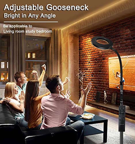 vividstarry Modern LED Floor Lamp with Remote & Touch Control, 2700K-6500K Bright Dimmable Floor Reading Lamp for Living Room/Bedroom/Office, Gooseneck Task Lights 10-100% Brightness Adjustable,Timer