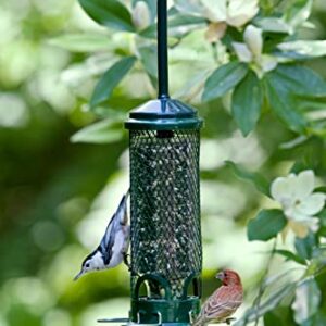 Squirrel Buster Mini Squirrel-Proof Bird Feeder w/4 Metal Perches, 0.98-Pound Seed Capacity & Wagner's 76027 Black Oil Sunflower Wild Bird Food, 25-Pound Bag