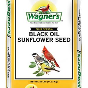 Squirrel Buster Mini Squirrel-Proof Bird Feeder w/4 Metal Perches, 0.98-Pound Seed Capacity & Wagner's 76027 Black Oil Sunflower Wild Bird Food, 25-Pound Bag