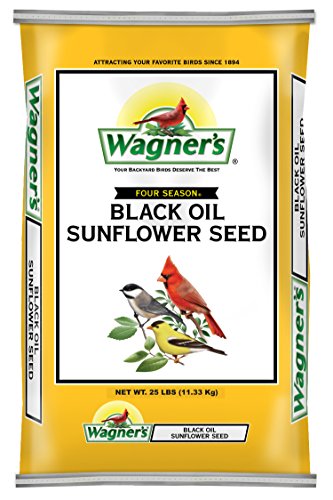 Squirrel Buster Mini Squirrel-Proof Bird Feeder w/4 Metal Perches, 0.98-Pound Seed Capacity & Wagner's 76027 Black Oil Sunflower Wild Bird Food, 25-Pound Bag