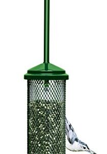 Squirrel Buster Mini Squirrel-Proof Bird Feeder w/4 Metal Perches, 0.98-Pound Seed Capacity & Wagner's 76027 Black Oil Sunflower Wild Bird Food, 25-Pound Bag