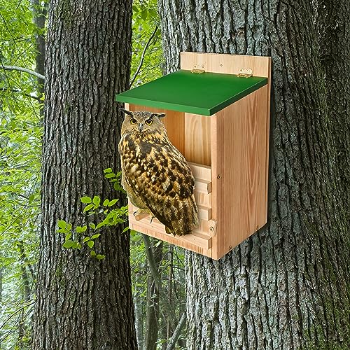 Owl House Owl Box with Bird Stand Design, Owl Nesting Box, Barn Owl, Screech owl Houses, Owl Houses Cedar for Outdoors-Easy Assembly