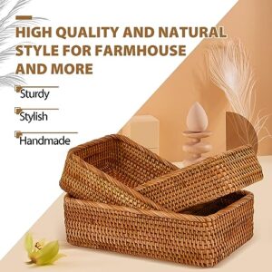 Rattan Serving Tray, Hand Woven Basket, Home Decor Organizer Tray for Breakfast, Tea, Snack, Fruit, Coffee Storage (Rec Small)
