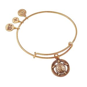 alex and ani turtle charm bangle bracelet, shiny gold finish, 2 to 3.5 in