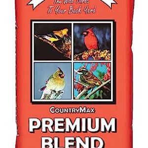 Backyard Seeds Premium Blend Bird Seed to Attract Songbirds - Wild Bird Food Mix with Black Oil Sunflower (40 Pounds)