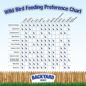 Backyard Seeds Premium Blend Bird Seed to Attract Songbirds - Wild Bird Food Mix with Black Oil Sunflower (40 Pounds)