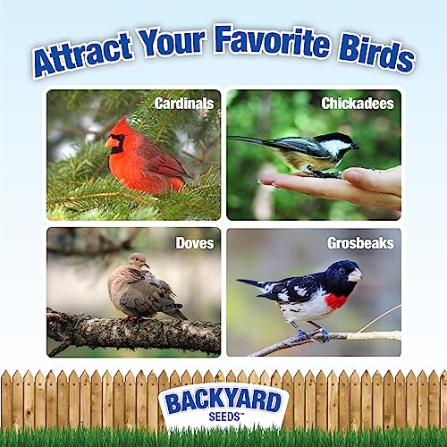 Backyard Seeds Premium Blend Bird Seed to Attract Songbirds - Wild Bird Food Mix with Black Oil Sunflower (40 Pounds)