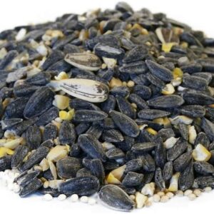 Backyard Seeds Premium Blend Bird Seed to Attract Songbirds - Wild Bird Food Mix with Black Oil Sunflower (40 Pounds)