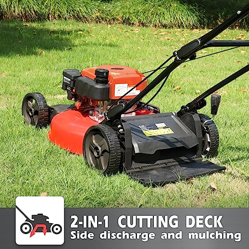 PowerSmart Gas Lawn Mower, 21-Inch 170cc 2-in-1 Mulching and Side-Discharge Push Mower, Red (DB2194CR)