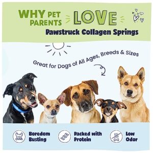 Pawstruck Natural Large Collagen Stick Springs for Dogs - Vet-Approved Long Lasting Alternative to Traditional Rawhide & Bully Sticks - High Protein Dental Treat w/Glucosamine & Chondroitin - 4 Pack