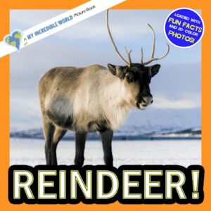 reindeer!: a my incredible world picture book for children (my incredible world: nature and animal picture books for children)