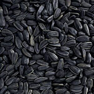 Happy Wings Black Oil Sunflower Seeds Wild Bird Food- 15 Pounds | No Grow Seed | Bird Seed for Wild Birds