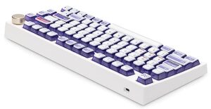 keebmonkey keytok ctrl semi-transparent keycap set (purple)