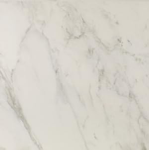 BMT 24in. x 24in. White Porcelain Tile, Matte Finish Floor and Wall Porcelain Tile, White Porcelain Tile with Grey Veins