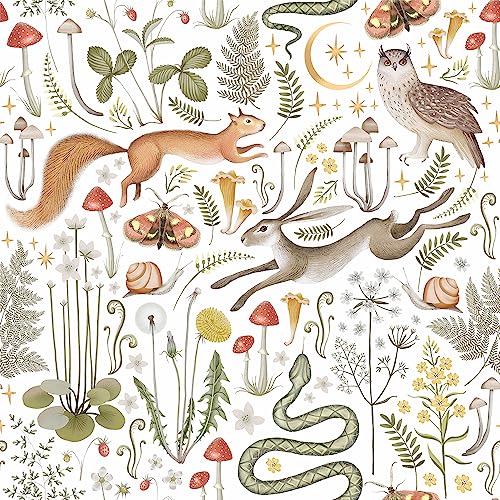 BEETAL Colorful Animal Forest Squirrel Owl Mushroom Leaf Peel and Stick Wallpaper Beige Easy Peel Off Self Adhesive Removable Stick on Wall Paper for Kitchen Renter Friendly