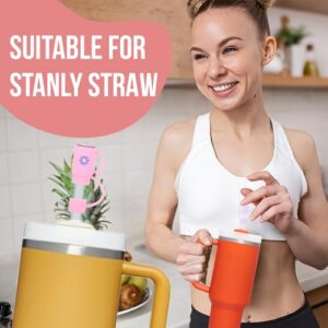 Straw Cover For Stanley, 5 PCS Suitable Silicone Stanley Cup Straw Cover - Variable Colour Stanley Straw Cover - Straw Covers for Reusable Straws - Stanley Cup Accessories - Mix Covers (5 PCS, Mix)