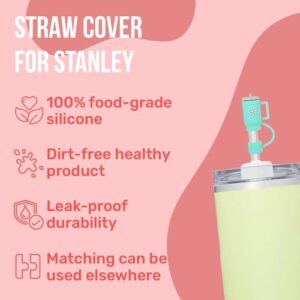 Straw Cover For Stanley, 5 PCS Suitable Silicone Stanley Cup Straw Cover - Variable Colour Stanley Straw Cover - Straw Covers for Reusable Straws - Stanley Cup Accessories - Mix Covers (5 PCS, Mix)