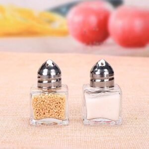 Luxshiny 10pcs Salt and Pepper Shakers Set Mini Glass Pepper Shaker with Lid Clear Spices Jars Salt Shaker Condiment Storage Jar for Travel Camping Picnic Lunch Dining Kitchen