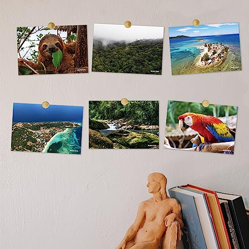 Dear Mapper Honduras Natural Landscape Postcards Pack 20pc/Set Postcards From Around The World Greeting Cards for Business World Travel Postcard for Mailing Decor Gift