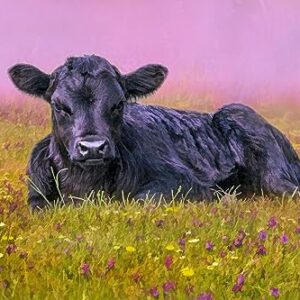 Black Angus Calf in The Flowers Quilt Panel - SC2159 - Panel Size is 24” X 16”, Quality Quilting Cotton, Digitally Printed