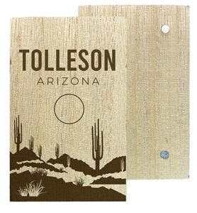 tolleson arizona souvenir 2" x 3" engraved wooden fridge magnet cactus desert design single