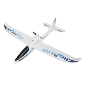 WLtoys XK F959S Sky-King 750mm Wingspan 2.4GHz 3CH RC Transmitter, Remote Control Airplane 6-Axis Gyro Suit for Beginners - RTF RC Airplane Toy Vehicle for Adults (HELIDIRECT) (Blue)