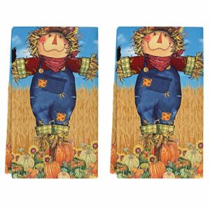 fall kitchen towels set of 2 crow scarecrow pumpkin dish towels and dishcloths sets decorative tea towel sunflower wheat absorbent hand towels for kitchen drying bathroom thanksgiving decor gift 18x28