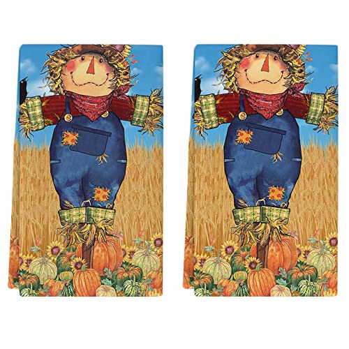 Fall Kitchen Towels Set of 2 Crow Scarecrow Pumpkin Dish Towels and Dishcloths Sets Decorative Tea Towel Sunflower Wheat Absorbent Hand Towels for Kitchen Drying Bathroom Thanksgiving Decor Gift 18x28