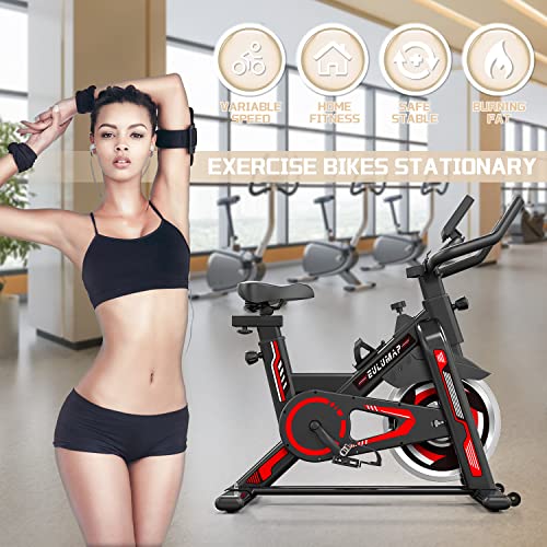 Exercise Bike-Stationary Indoor Cycling Bikes For Home Gym with pad Mount &Comfortable Seat Cushion,Exercise Equipment(Red)
