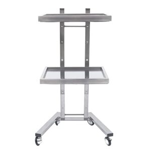 dnysysj beauty salon stand rolling cart, 2 tier spa beauty machine holder trolley, salon storage trolley stand, for salons studios shops medical shops and dentists
