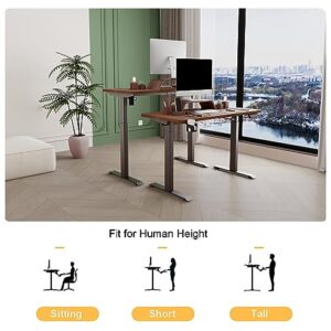 Height Adjustable Electric Standing Desk, Memory Computer Workstation Table, Stand Up Desk with Preset Controller & Headphone Hook, Sit to Stand Desk for Home Office (Single Motor with Desktop)