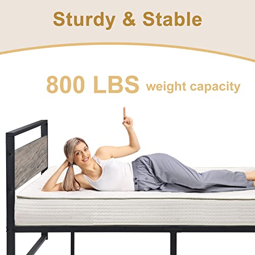 Zevemomo Queen Size Bed Frame with Wooden Headboard and Footboard, Queen Metal Platform Bed Frame Mattress Foundation with Large Under Bed Storage, No Box Spring Needed/Noise-Free/Easy Assembly