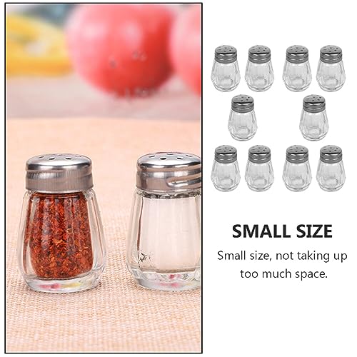 BESTonZON 10Pcs Salt Shaker or Pepper Shaker with Pour Holes Stainless Steel Dispenser for Pink Himalayan, Table Salt BBQ Seasoning Containers