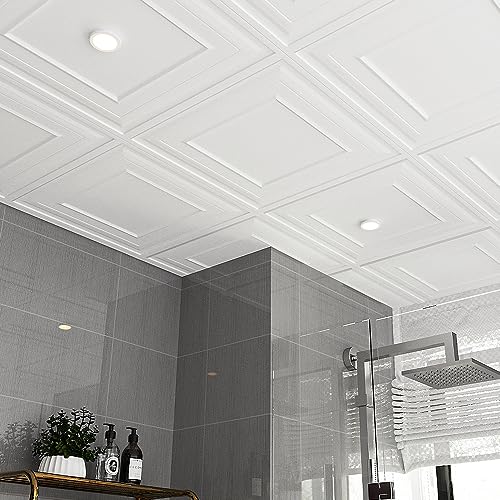 2ft x 2ft Icon Relief Ceiling Tiles - Easy Drop-in Installation – Waterproof, Washable and Fire-Rated - High-Grade PVC to Prevent Breakage Pack of 12, White (2 * 2, Style A)