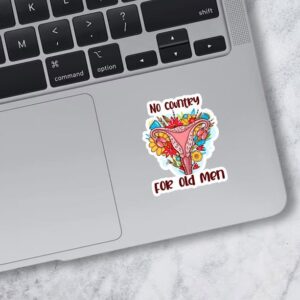 Miraki No Country For Old Men Stickers, Feminist Stickers, Cute Flower Stickers, Water Assitant Die-Cut Vinyl Funny Decals for Laptop, Phone, Water Bottles, Kindle Sticker