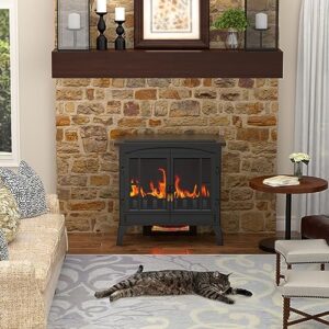 Electric Fireplace Stove, 23" Realistic Flame Effect Fireplace Heater, Indoor Freestanding Infrared Electric Stove Heater,Overheating Safety System,Thermostat, Portable 1000W/1500W