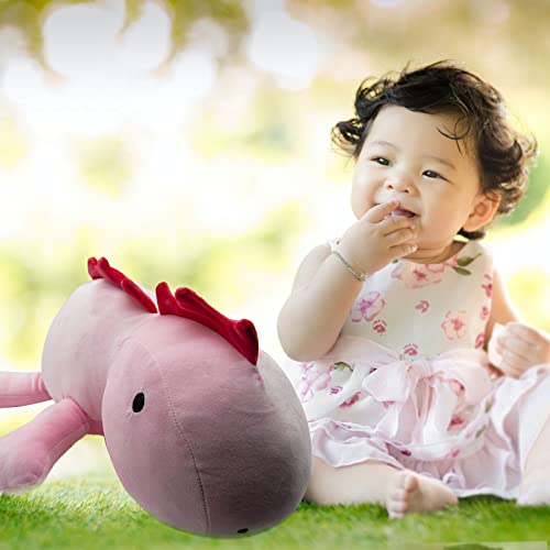 FRINNG Weighted Dinosaur Plush, 24" Stuffed Weighted Plush Toy Animal Dino Throws Pillow,Weighted Dinosaur Plushies Toys for Fans Kids Birthday Gift (Pink)