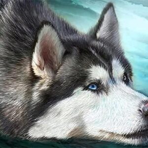 Wingkin Stamped Cross Stitch Kits Husky Dog 11CT Advanced Pre-Printed Cross-Stitch Pattern Embroidery DIY Beginner Adults Kids Home Decoration （40x50cm）